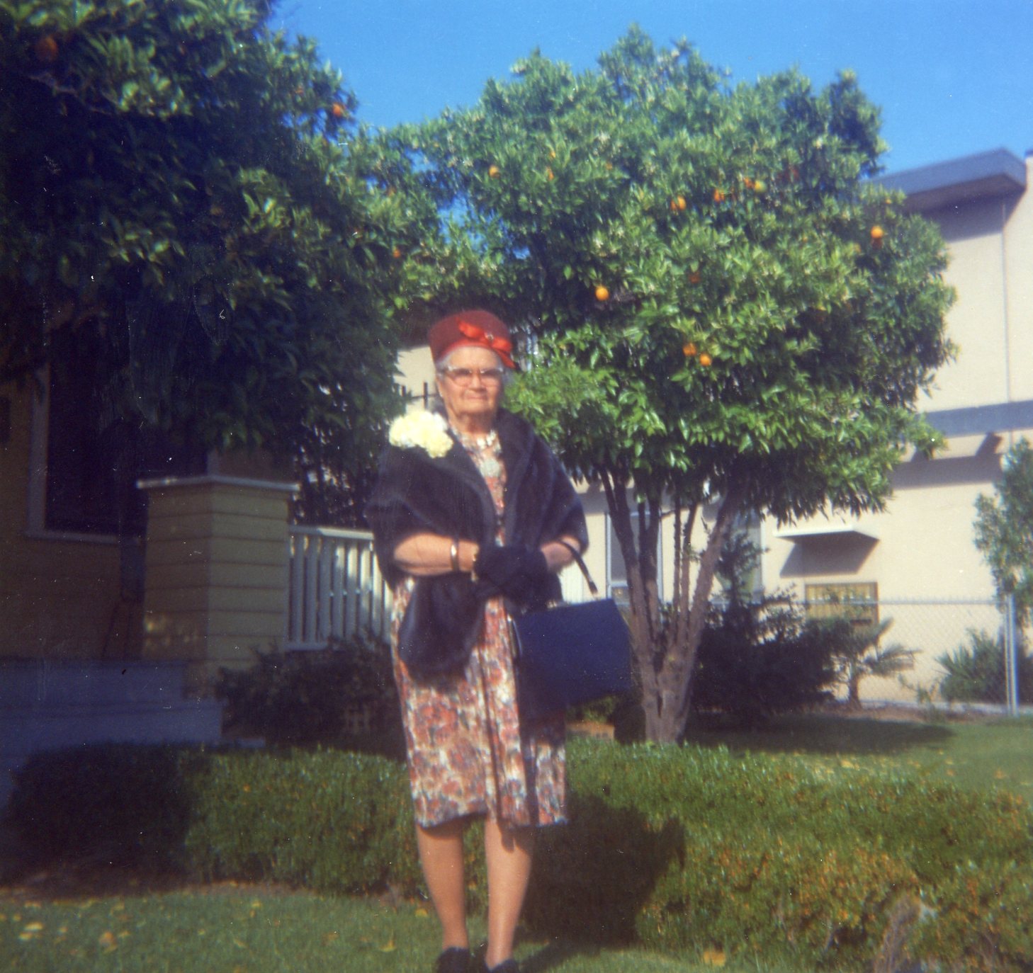 1950s and Before